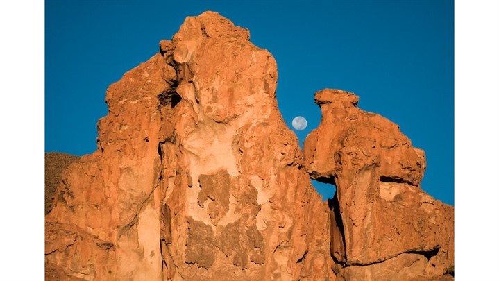 HUAWEI P30 Pro گوشی برنده 