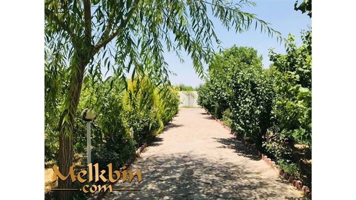 نکات کلیدی خرید باغ و باغچه نکات کلیدی خرید باغ و باغچه