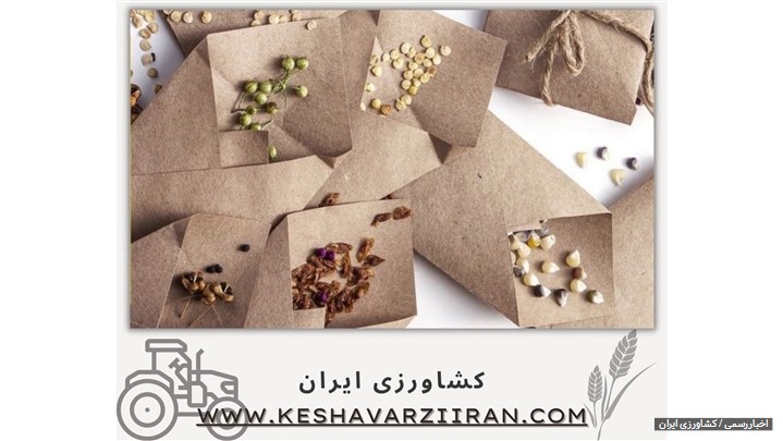 چگونه با کاشت بذر، بهترین برداشت را داشته باشیم؟ چگونه با کاشت بذر، بهترین برداشت را داشته باشیم؟