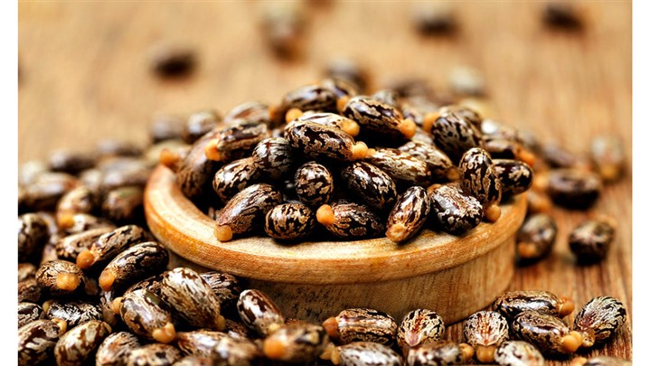 خواص روغن کرچک برای پوست خواص روغن کرچک برای پوست
