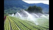 اختصاص 28 هزار میلیارد ریال برای سامانه های نوین آبیاری 