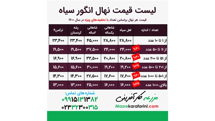 وضعیت نهال انگور در سال 1400 وضعیت نهال انگور در سال 1400