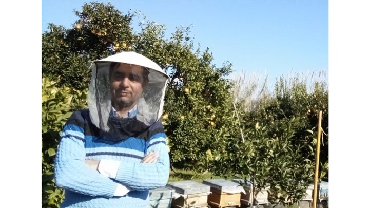 کاهش شدید تولید عسل آویشن با نابودی گیاه آویشن در شهرستان دماوند کاهش شدید تولید عسل آویشن با نابودی گیاه آویشن در شهرستان دماوند