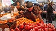 صادرات میوه ایرانی به روسیه رو به افزایش است