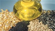 خرید 200 هزار تن انواع دانه روغنی در کشور