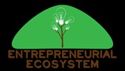 یک اکوسیستم کارآفرینی به واقع چیست