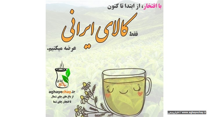 از باغ های چای شمال تا فنجان چای شما!