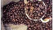 خرید قهوه و فروش آن برای مصارف خانگی و کافی شاپ‌ها