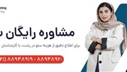 برای سئو کردن سایت خود از نبض مارکتینگ مشاوره رایگان بگیرید