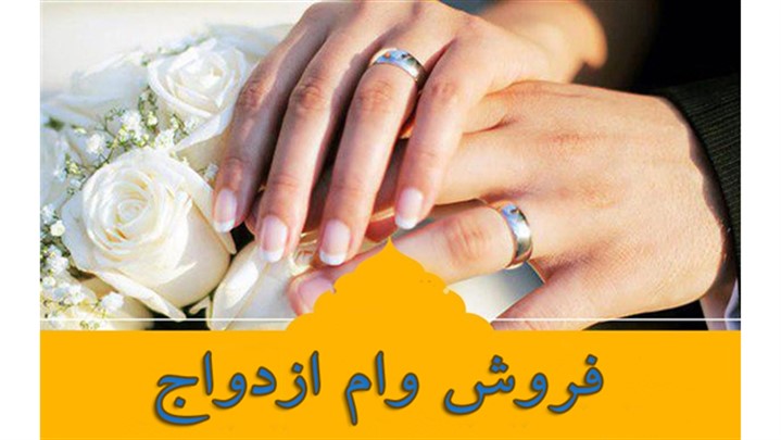 وامیار اولین استارتاپ در زمینه وام و ضامن وامیار اولین استارتاپ در زمینه وام و ضامن