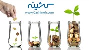 با کشینه از خرید اینترنتی پول دربیاورید!