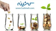 با کشینه از خرید اینترنتی پول دربیاورید!