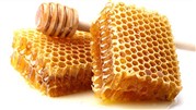 چین تنها مشتری موم زنبور عسل ایرانی