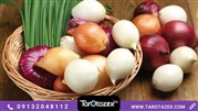 سه کاربرد شگفت انگیز از سه نوع پیاز صادراتی متفاوت