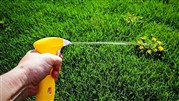 بهترین علف کش برای از بین بردن علف های هرز