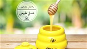 تنها روش تشخیص عسل طبیعی+ فیلم
