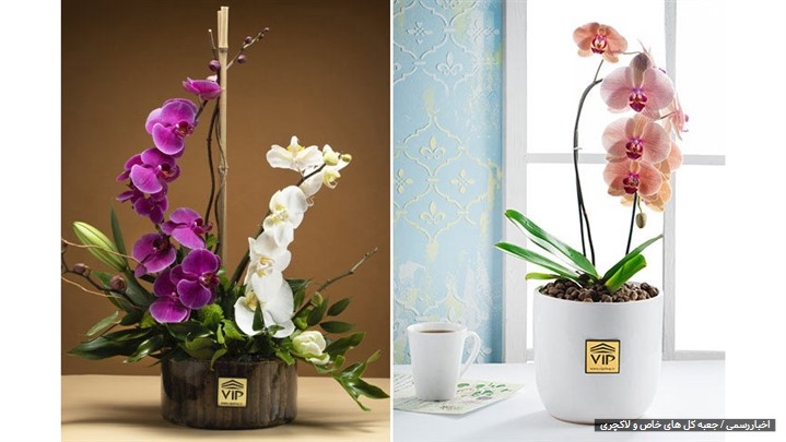 VIP Shop گلفروشی آنلاینِ 24 ساعته! سایتی که هرگز از آن ناامید نمی‌شوید.