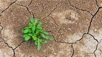 تابآوری؛ چه مهارتهایی برای تحمل سختیها باید آموخت و به کار گرفت تابآوری؛ چه مهارتهایی برای تحمل سختیها باید آموخت و به کار گرفت