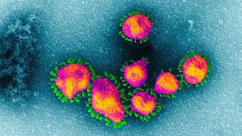 پیشگیری از کرونا – نکات حیاتی و واقعیت‌های ویروس کرونا