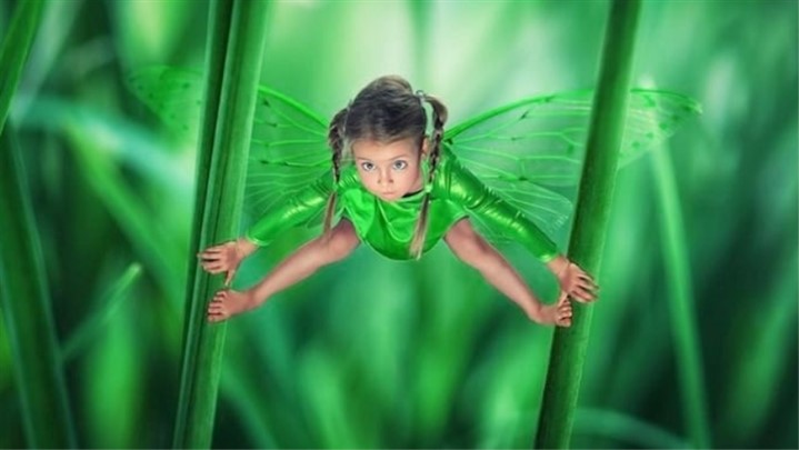 عکاسی خلاقانه ؛ تأثیرگذار در جذب مخاطب