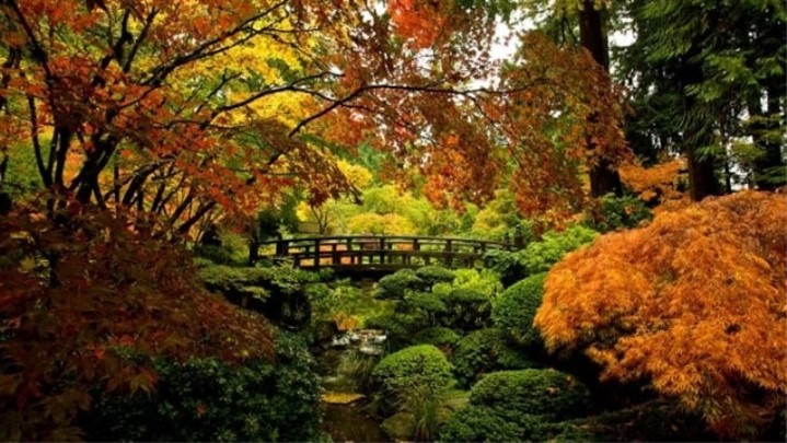 عکاسی خلاقانه ؛ تأثیرگذار در جذب مخاطب