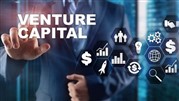 سرمایه گذاری خطرپذیر چیست و چرا اهمیت دارد؟ (Venture Capital)