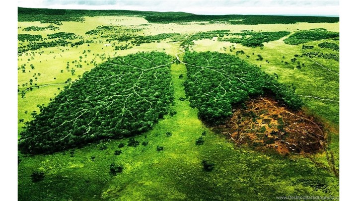 همایش برای نجات زاگرس؛ فرصتی برای احیاء جنگل‌های زاگرس