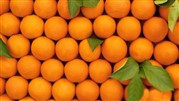 پرتقال برای تنظیم بازار نوروزی  محدود وارد شد