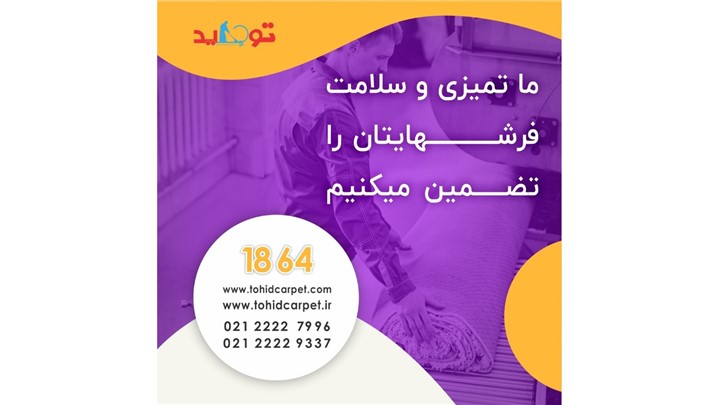 چگونه لکه کدو حلوایی را از روی فرش پاک کنیم؟