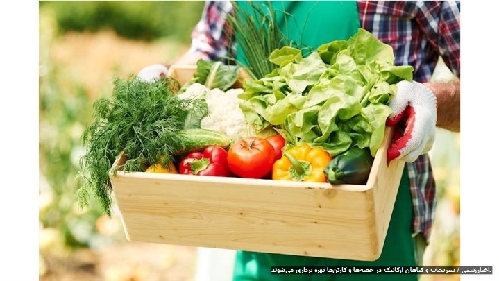 5 بازار محلی آنلاین ایرانی و خارجی برای خرید مستقیم از کشاورزان