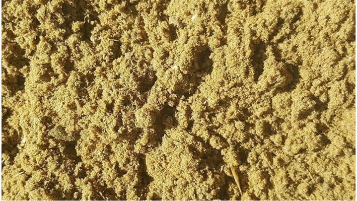 بررسی فواید و کاربرد پودر ماهی میکتوفیده بررسی فواید و کاربرد پودر ماهی میکتوفیده