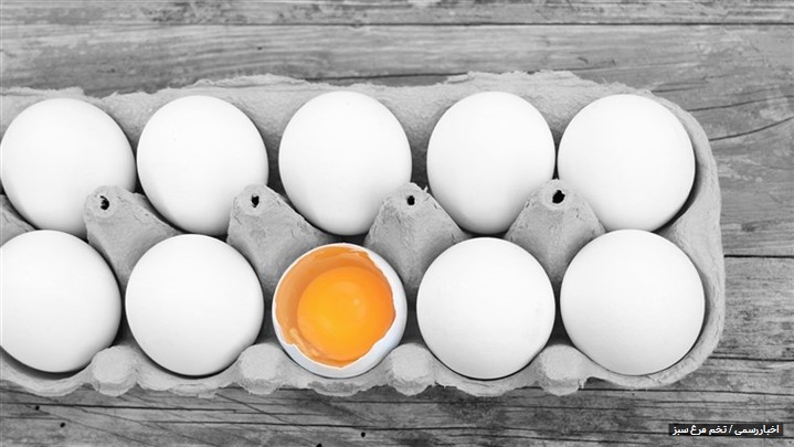 تغذیه سالم با تخم مرغ بدون آنتی بیوتیک تغذیه سالم با تخم مرغ بدون آنتی بیوتیک