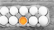 تغذیه سالم با تخم مرغ بدون آنتی بیوتیک