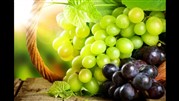 تشکیل صندوق توسعه صادرات انگور و کشمش