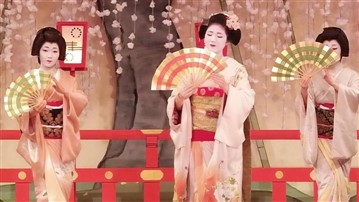 راهنمای کامل سفر به ژاپن برای اولین بار | هر آنچه قبل از رفتن باید بدانید