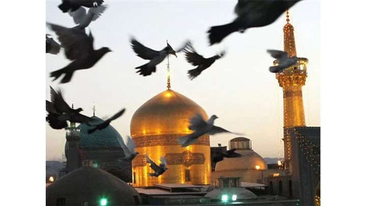 کی و چگونه برای زیارت حرم امام رضا به مشهد برویم؟ 