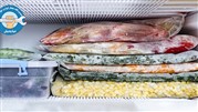 علل یخ زدن مواد غذایی داخل یخچال سامسونگ