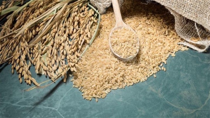 برنج قهوه ای،سیر تا پیاز برنج قهوه ای،سیر تا پیاز