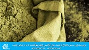 بانوان هرمزگانی؛ طراح نقش و نگارهای حنایی