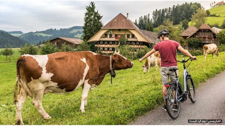 درباره اکوتوریسم یا بوم گردی چه می‌دانید؟