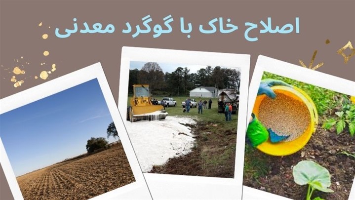 تغییر pH خاکهای شور و قلیایی با گوگرد معدنی تغییر pH خاکهای شور و قلیایی با گوگرد معدنی