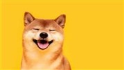 آیا در آینده نزدیک قیمت شیبا به یک دلار میرسد؟