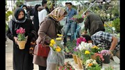 صادرات گل، اشتغال زایی بالایی ایجاد می کند