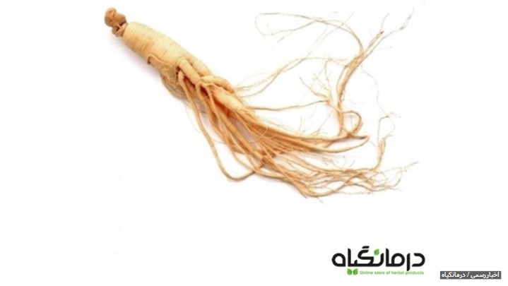 خواص، قیمت و نحوه مصرف جینسینگ اصل کرهای را بشناسید خواص، قیمت و نحوه مصرف جینسینگ اصل کرهای را بشناسید