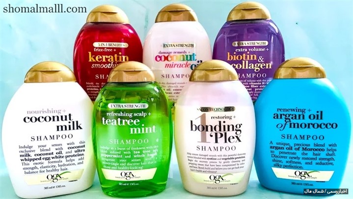 آشنایی با توانمندی ها و خدمات فروشگاه اینترنتی شمال مال