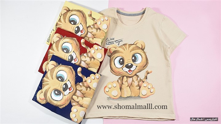 آشنایی با توانمندی ها و خدمات فروشگاه اینترنتی شمال مال