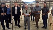 چابهارمیزبان مسابقات جهانی کشتی درآذرماه 95