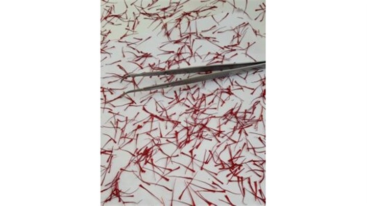 فرش تابلو فرش صنایع دستی زعفران