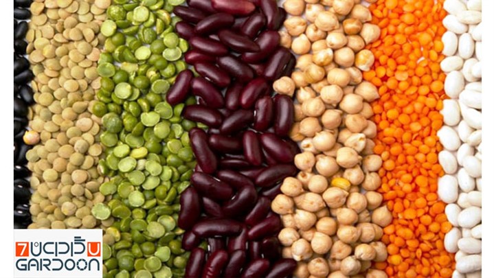 بوجاری حبوبات چیست؟معرفی دستگاه بوجاری بوجاری حبوبات چیست؟معرفی دستگاه بوجاری