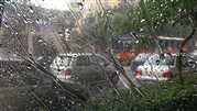 فردا هم هوا بارانی است